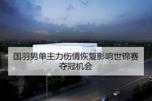 国羽男单主力伤情恢复影响世锦赛夺冠机会